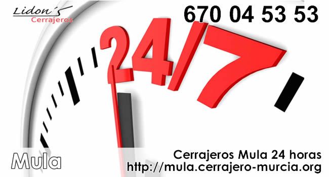 cerrajeros mula 24 horas