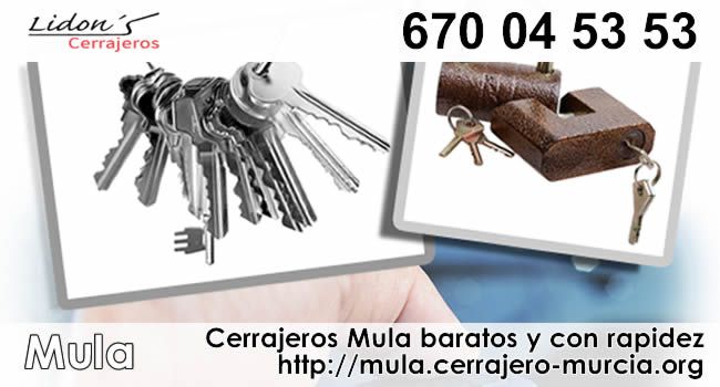 cerrajeros mula baratos
