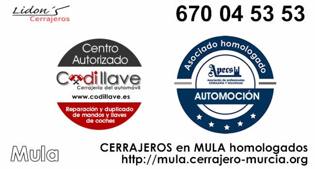cerrajeros mula homologados